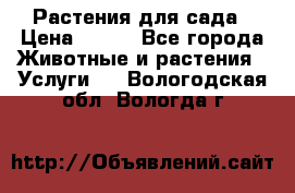 Растения для сада › Цена ­ 200 - Все города Животные и растения » Услуги   . Вологодская обл.,Вологда г.